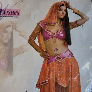 Bollywood Dancer Costume- NEW
